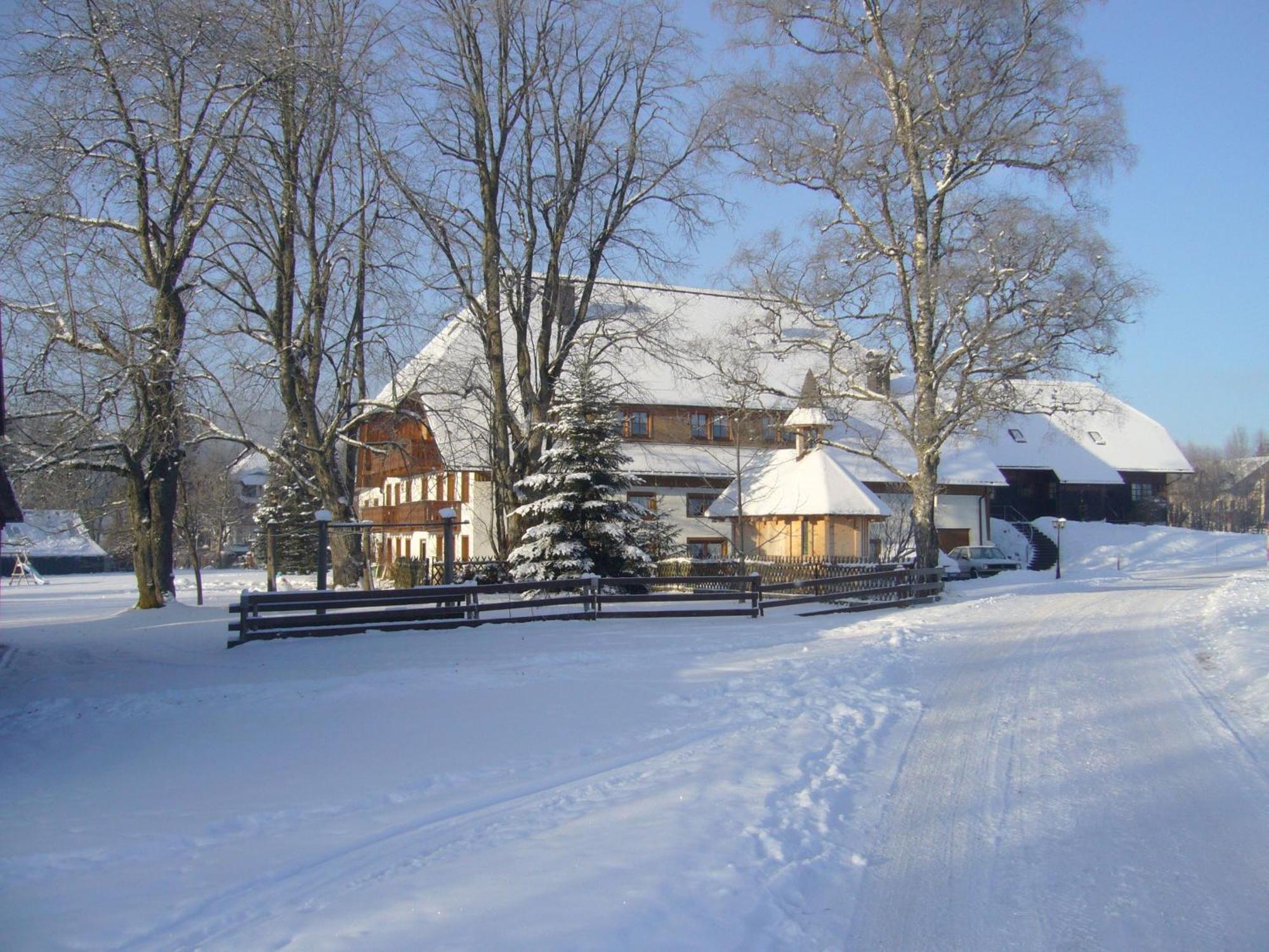 Hermeshof Und Biohaus Titisee-Neustadt Exterior photo